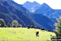 Hearty Mountain Tastes Authentic Alpine Comfort Food from Aosta Valley