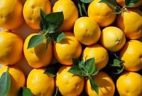 Creative Ways to Use Thirty Authentic Italian Amalfi Lemons