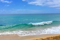 Monday Reflections from Snowy Peaks to Coastal Shores