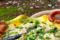 Risi e Bisi: Venice’s Culinary Gem