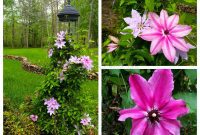 Radiant Spring Floral Extravaganza