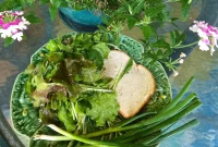 Refreshing Garden Harvest Leafy Salad