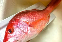 Mastering Professional Fish Scaling Techniques