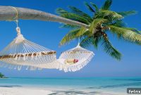 Exploring the Wonders of Aruba the Happy Island