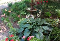 Wandering Through My June Floral Garden