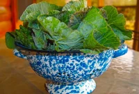 Iconic Southern United States New Year Culinary Traditions