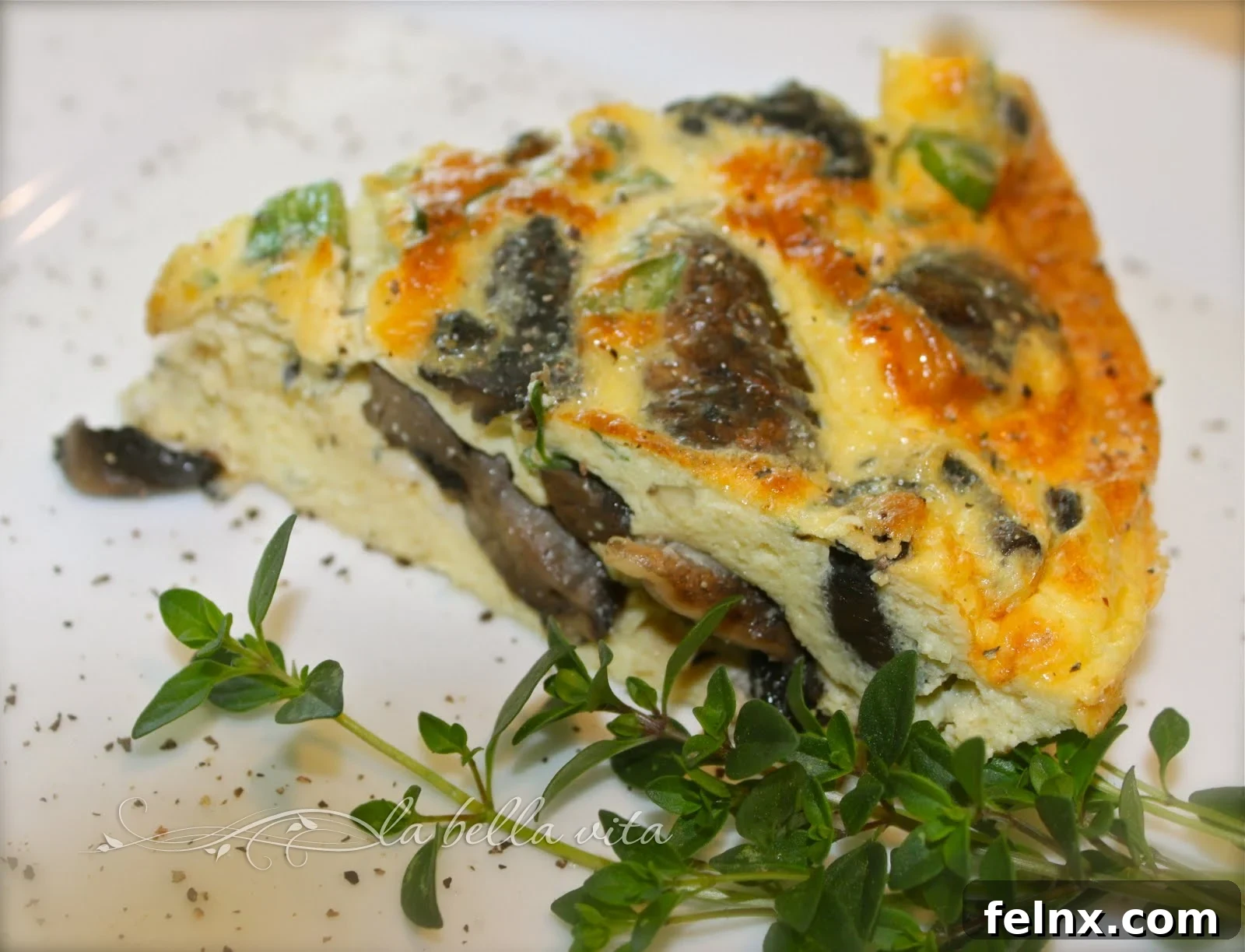 featured 2736