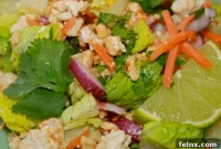 Authentic Zesty Thai Minced Chicken Salad