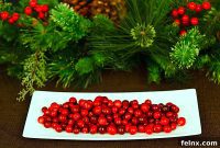21 Delightful Cranberry Creations for the Perfect Holiday Feast