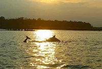 Discover the Hidden Gems of Daufuskie Island South Carolina