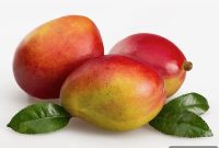Essential June Mango Recipes and Easy Cooking Guides