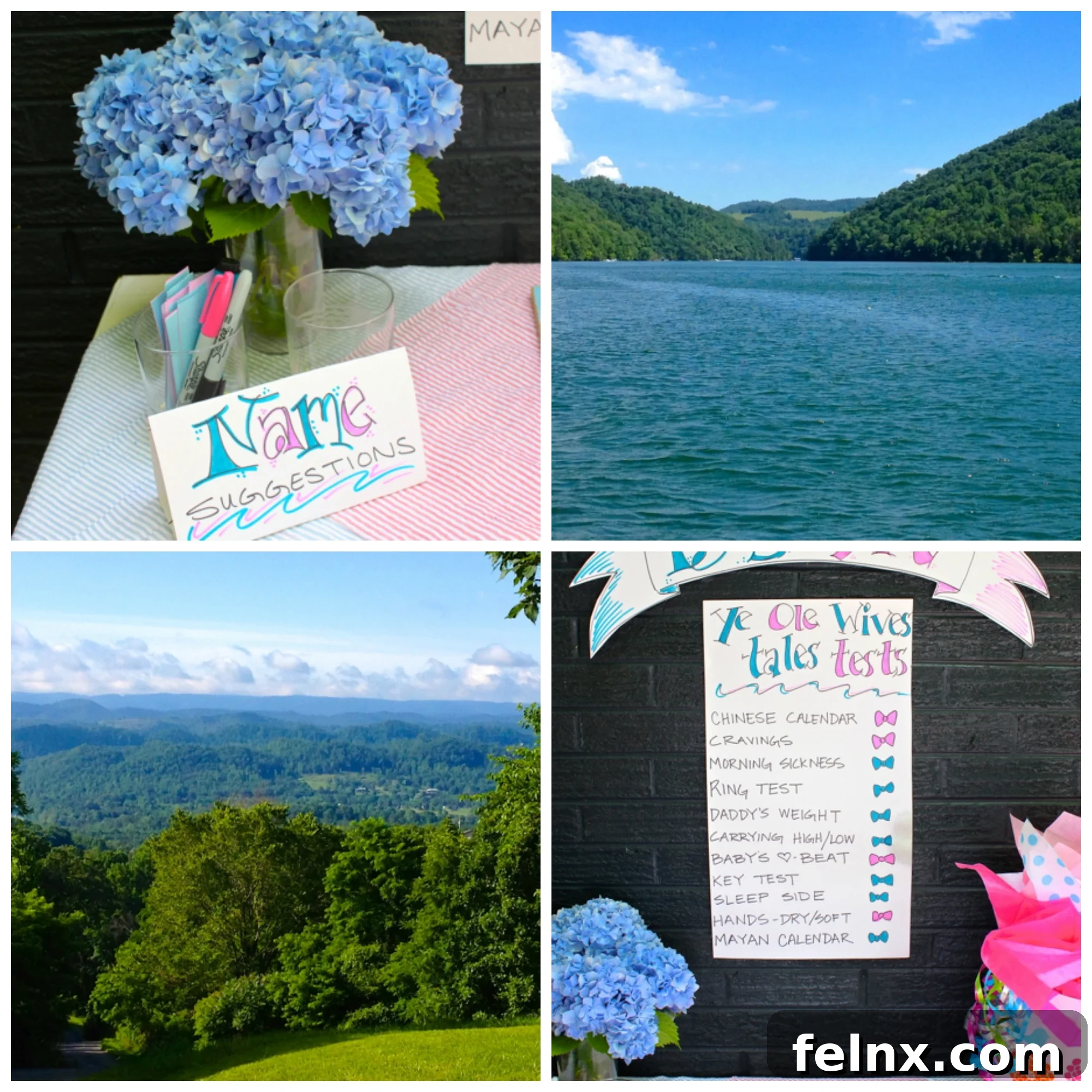 Gender Reveal Collage
