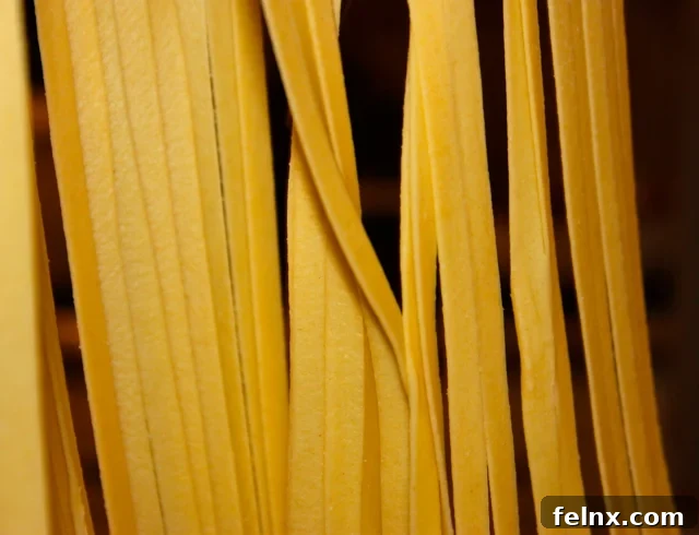 Freshly Cut Pasta Strips