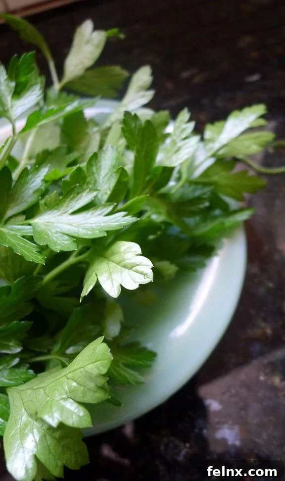 Fresh Italian Parsley for Detoxification