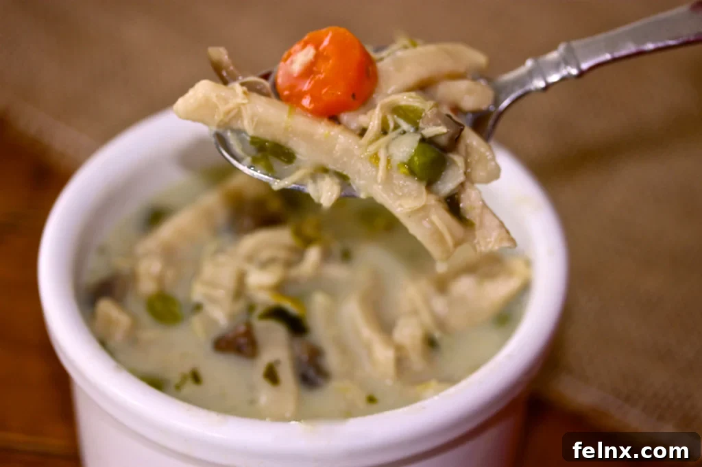 Homemade Chicken Noodle Soup