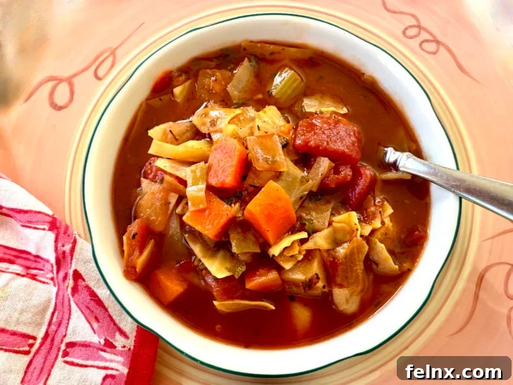 Delicious and healthy cabbage soup in a rustic bowl