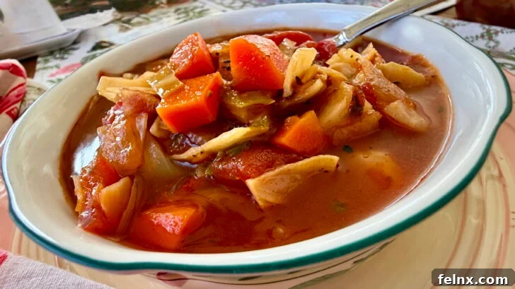 Perfectly cooked cabbage soup ready for serving