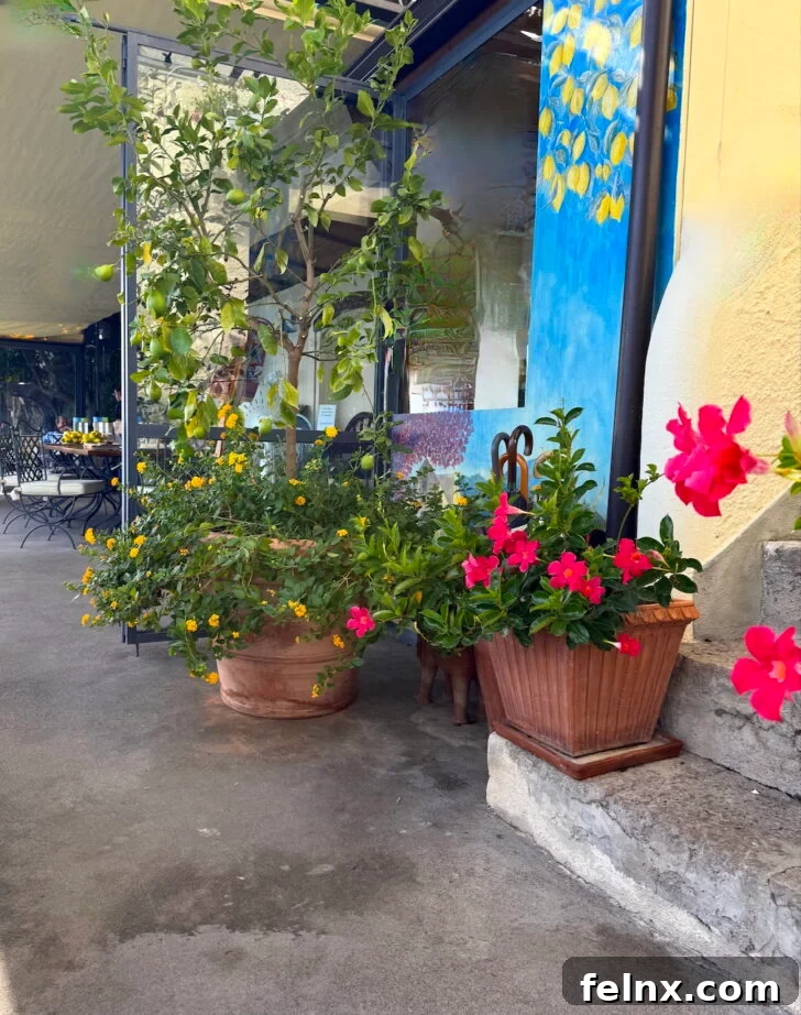 Blooming flowers at Mamma Agata