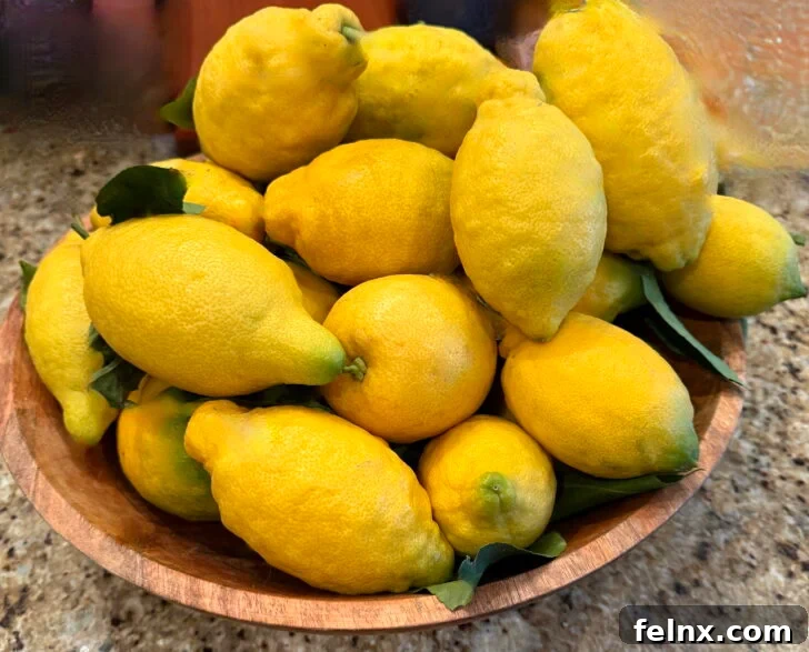 Fresh Amalfi Lemons from Italy