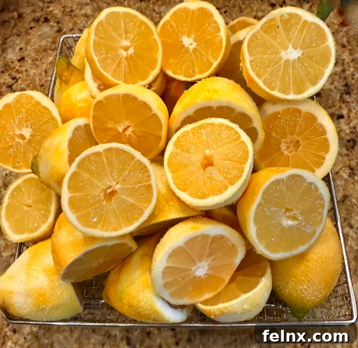 Fresh Lemon Juice