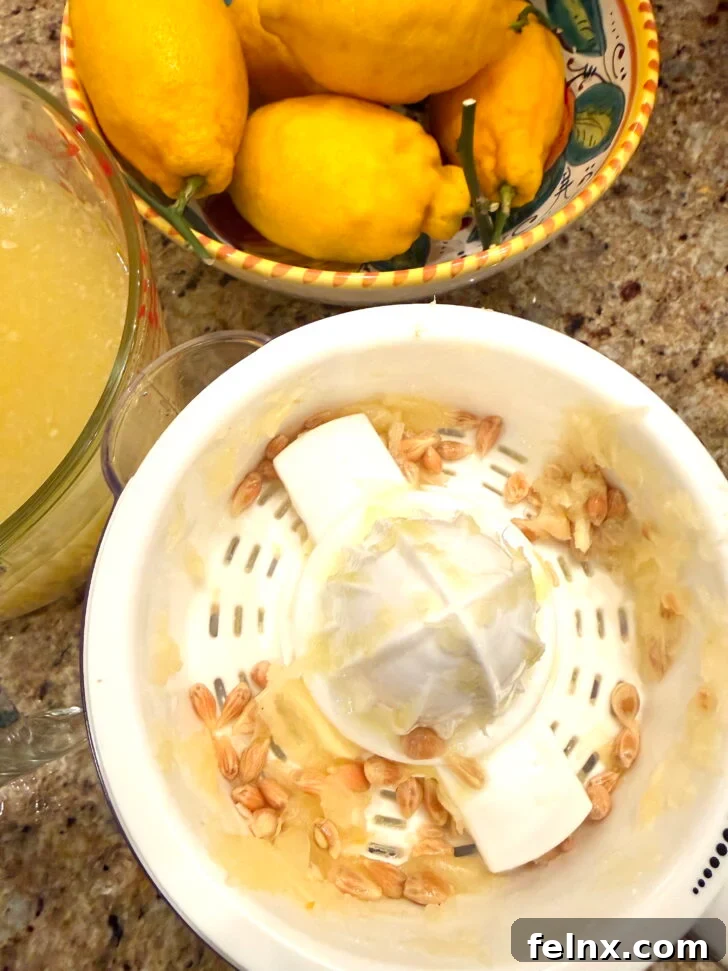 Lemon Slices