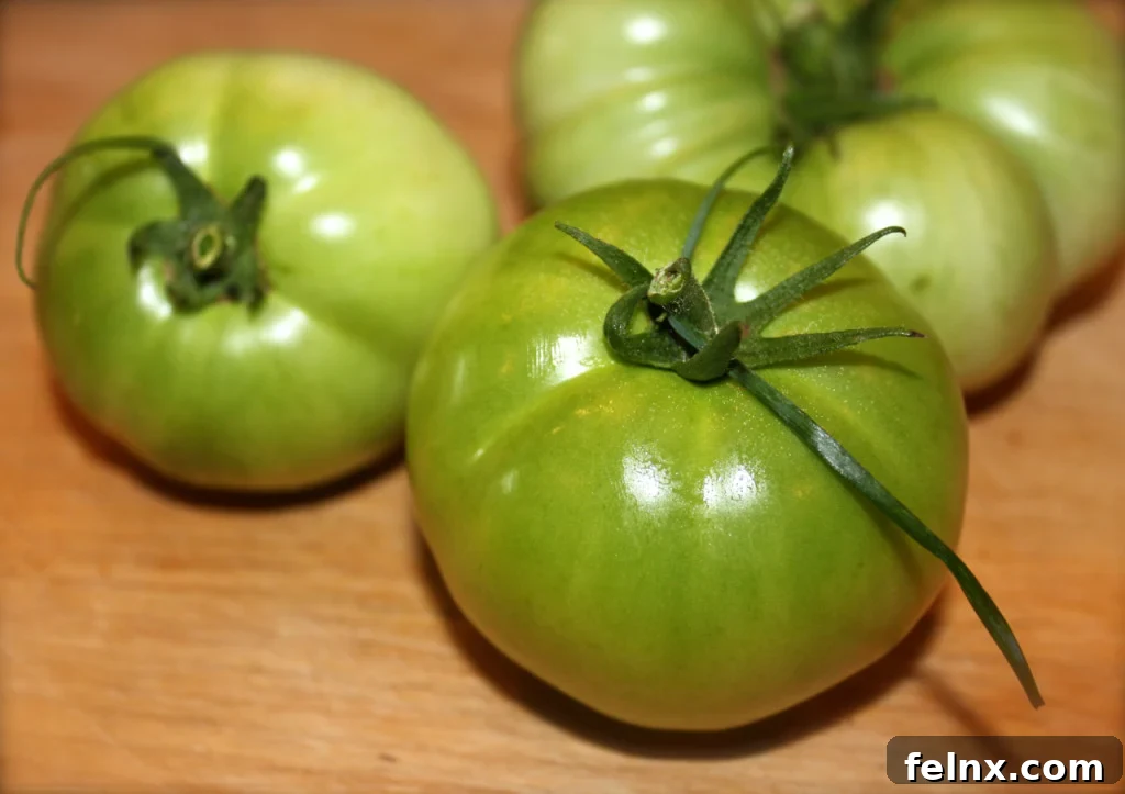 perfect green tomatoes fresh from the garden