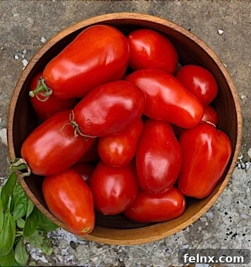 Fresh red Roma tomatoes for bruschetta
