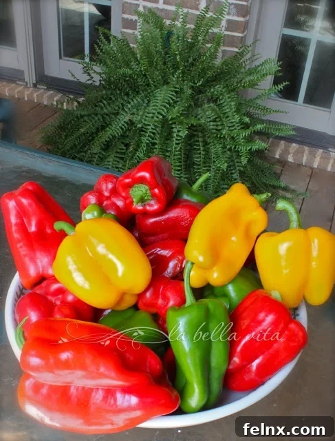 Harvested red peppers from a home garden