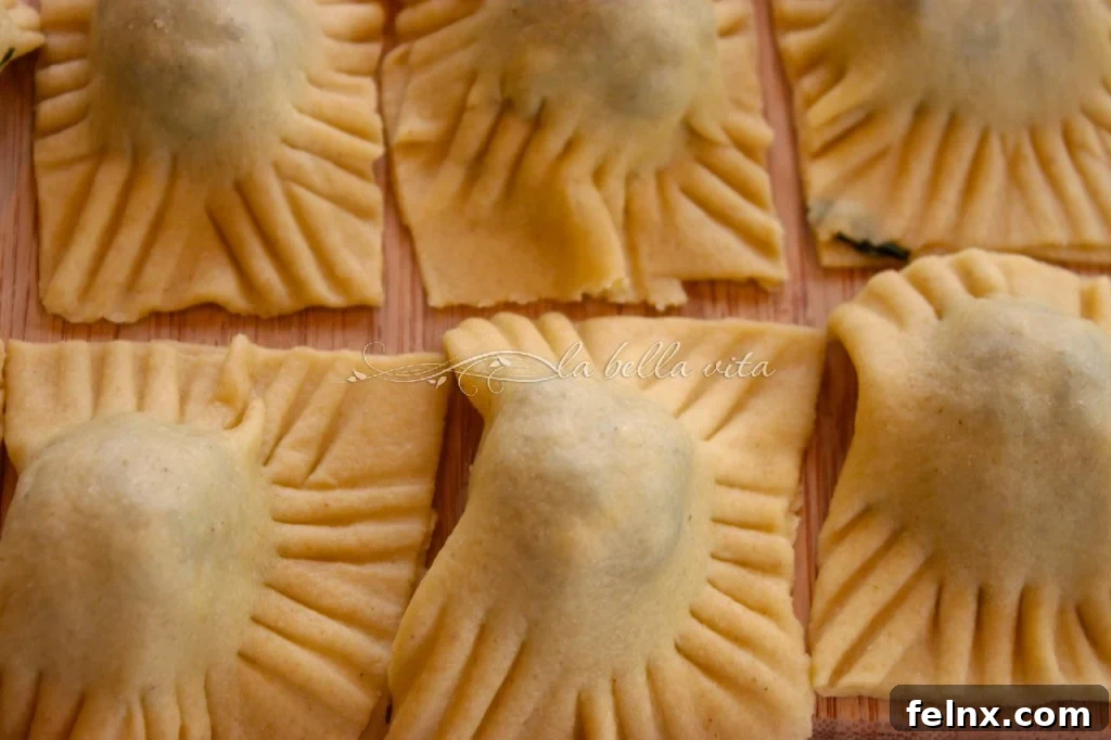 Beautifully prepared homemade Italian ravioli on a serving plate