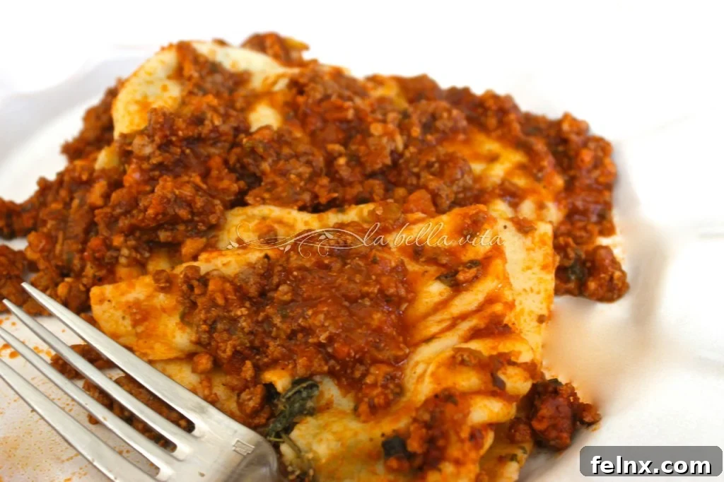 A delicious bowl of ravioli with Bolognese sauce