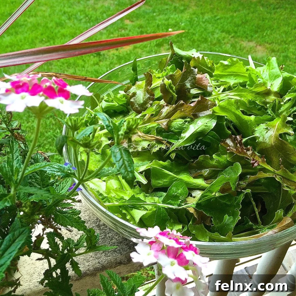 loose leaf lettuce in a large bowl