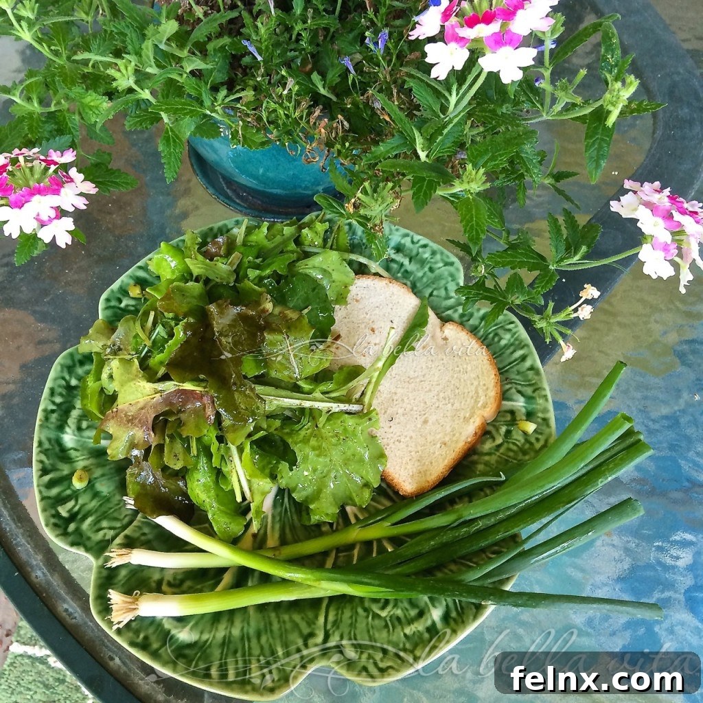 lettuce salad on bread