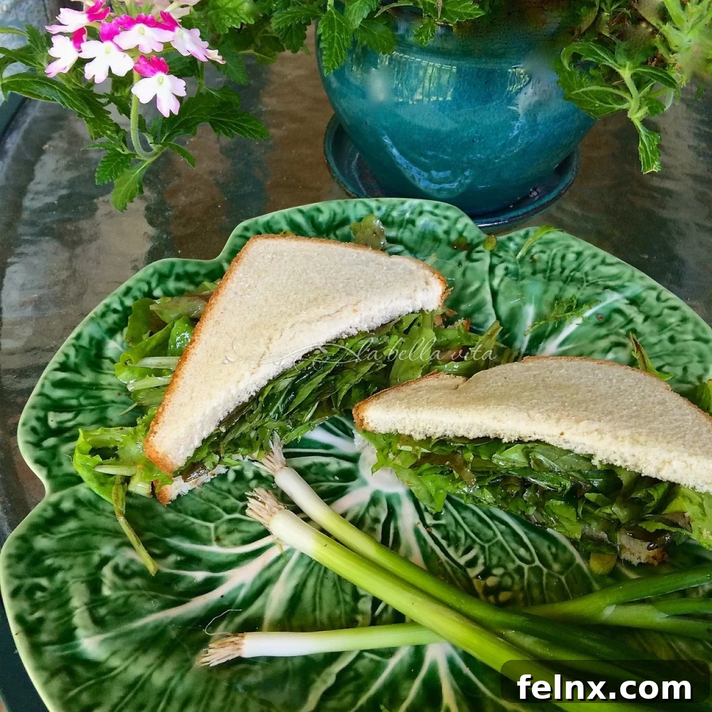 close up of lettuce salad