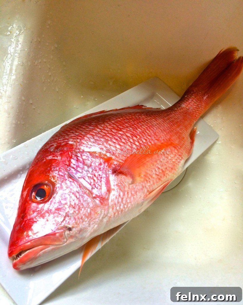 How to Descale a Fish in a Deep Sink