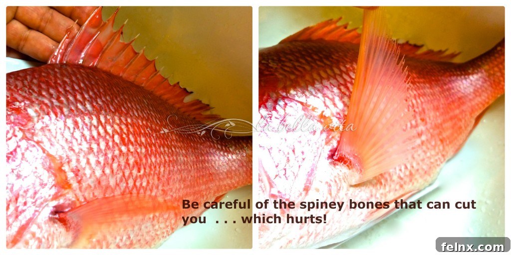 Identifying Sharp Fish Bones and Fins