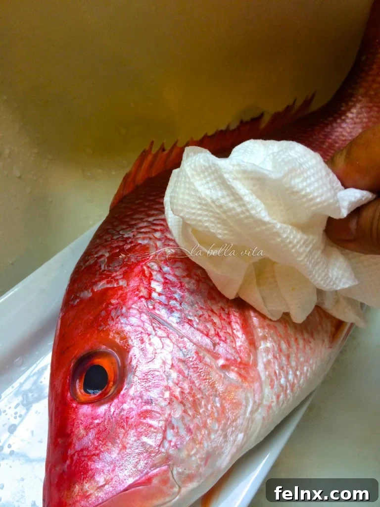 Drying the fish with a paper towel