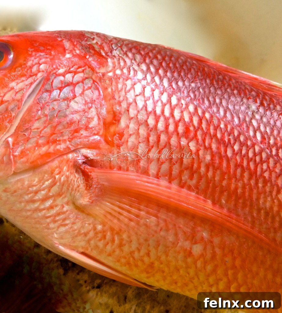Dull matte appearance of dried fish