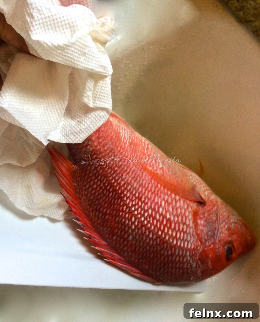 Holding the fish by the tail with a paper towel