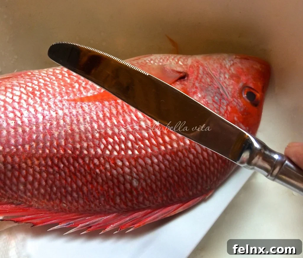 Using a butter knife to remove fish scales