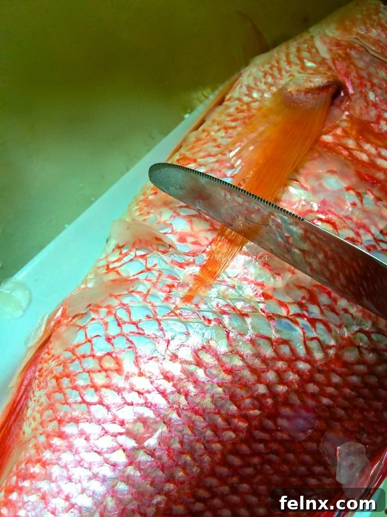 Scraping fish scales from tail to head