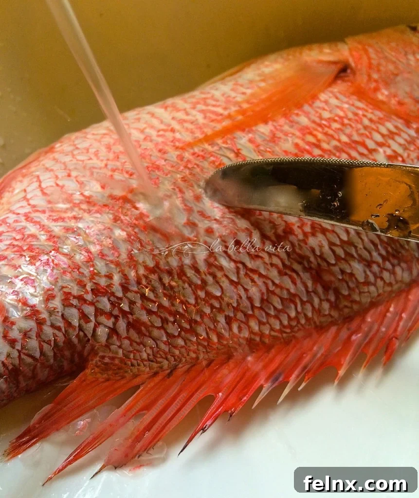 Rinsing the descaled fish under cold water