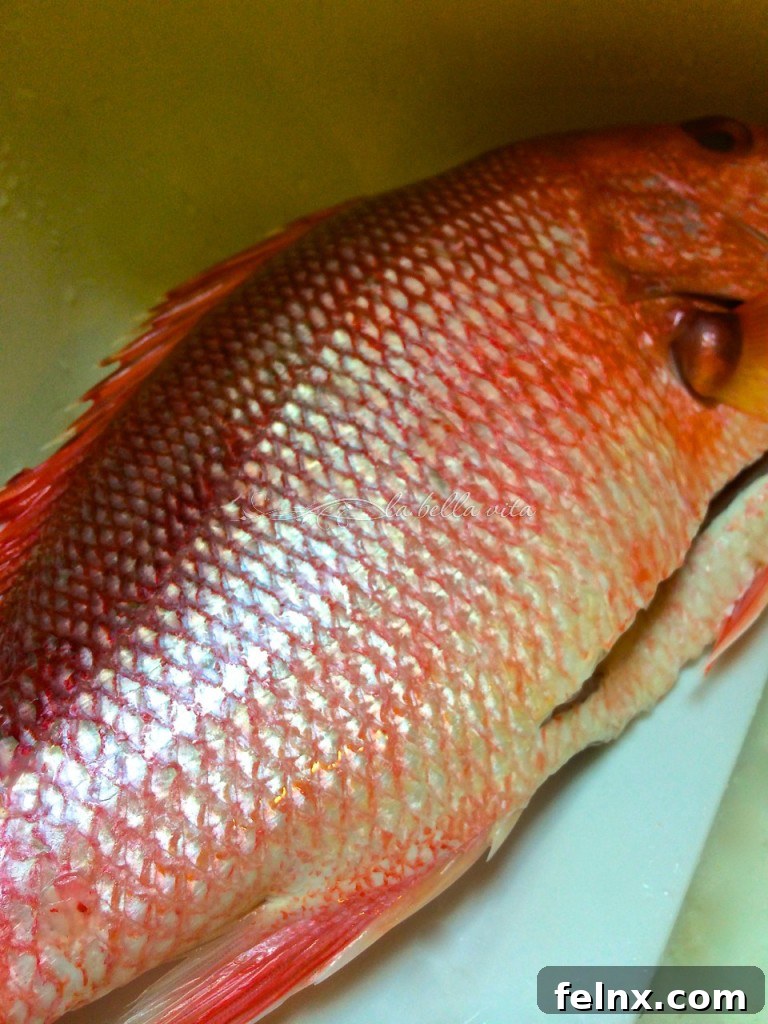 Checking for smooth fish skin