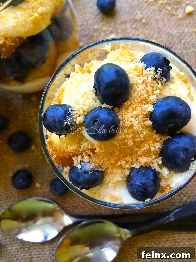 Refreshing Summer Parfait with Blueberries