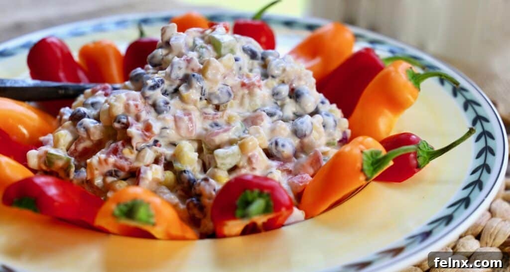 Overhead view of the fiesta corn dip