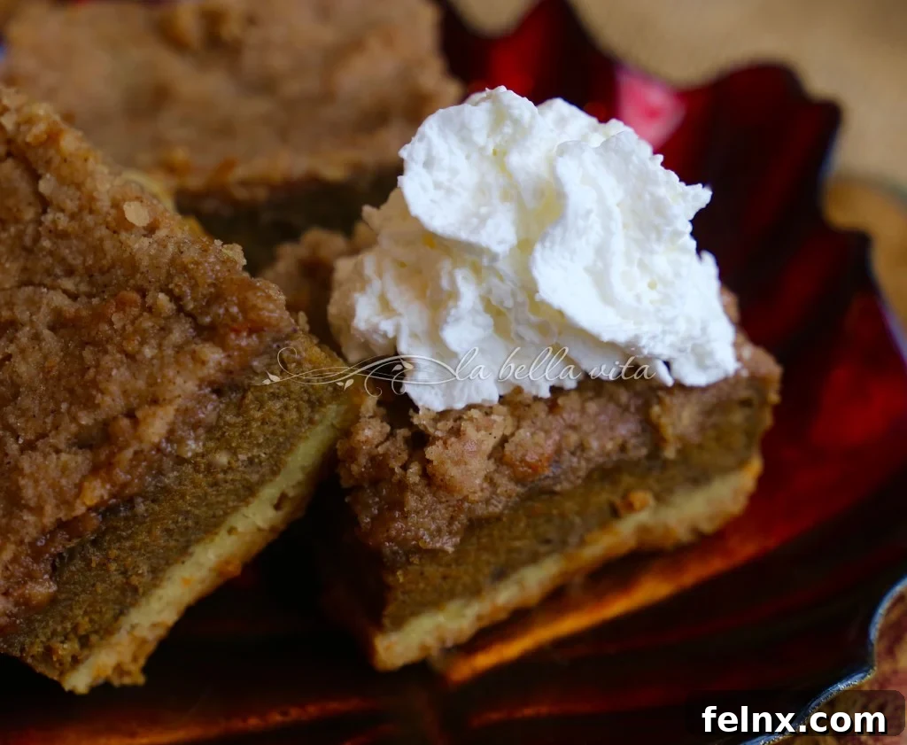 Slices of Pumpkin Brownies with Cinnamon Topping