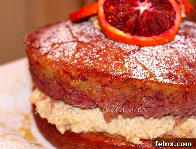 Blood Orange Cake