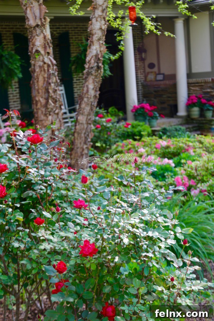 Stunning display of spring flowers in a lush Southern garden featuring vibrant azaleas
