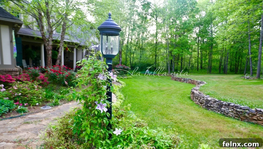 Wide view of the front garden showing the mix of flowers, shrubs, and trees