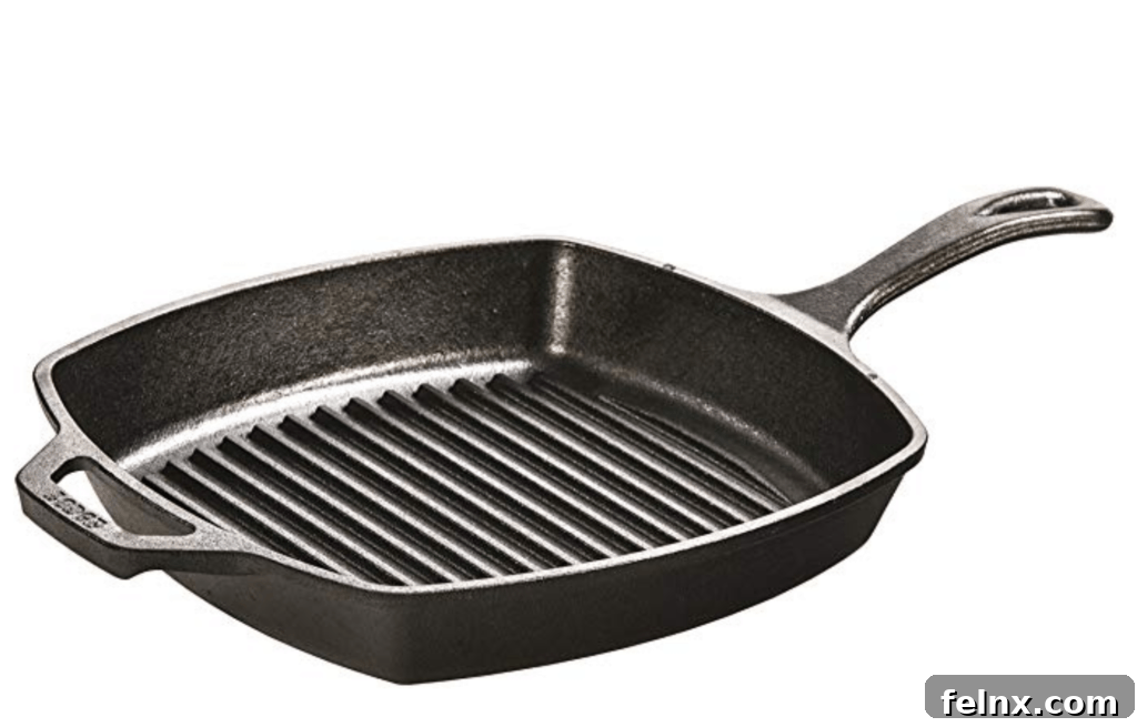 Lodge cast iron skillet