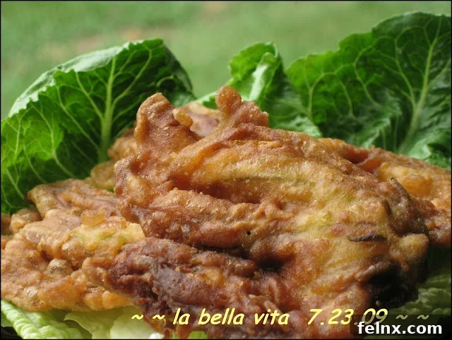 Fried Zucchini Blossoms